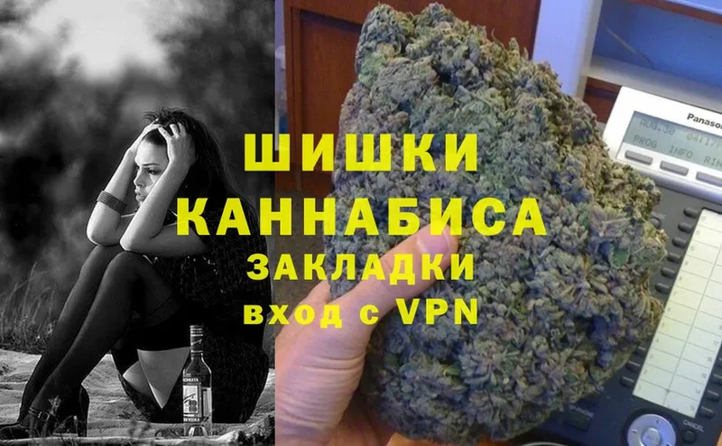 Шишки марихуана сатива  Вытегра 